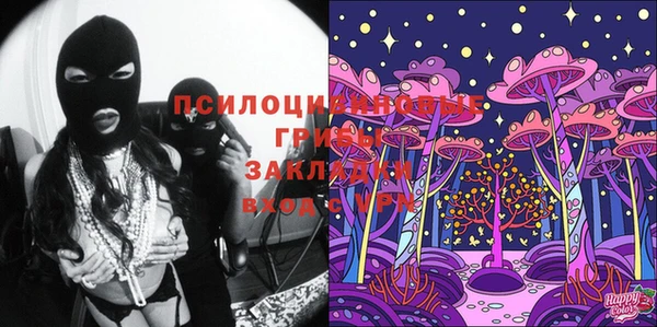 бутират Гусь-Хрустальный
