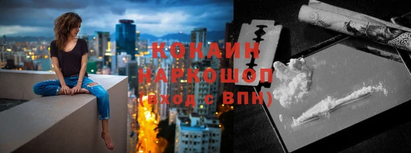 гидра Гусев
