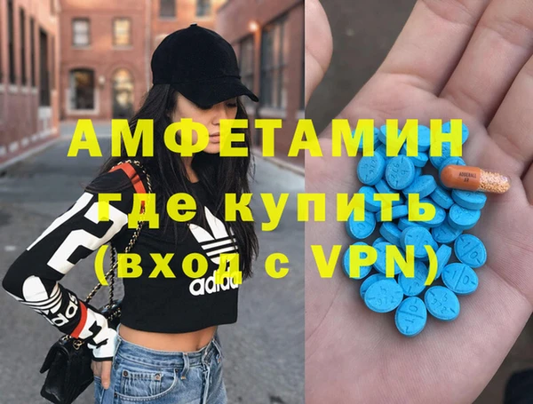 гидра Гусев