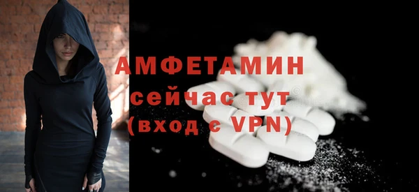 гидра Гусев