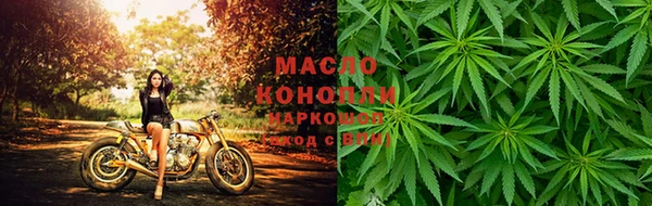 гидра Гусев