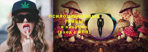 бутират Гусь-Хрустальный