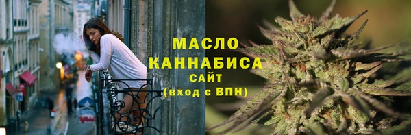 гидра Гусев
