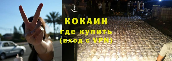 гидра Гусев