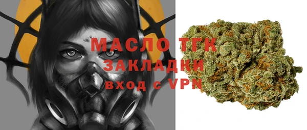 гидра Гусев