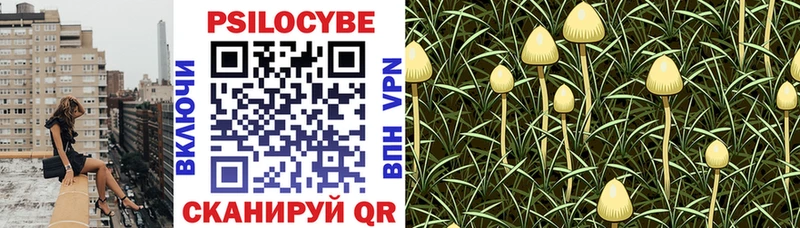 Галлюциногенные грибы прущие грибы  купить  сайты  Железноводск 